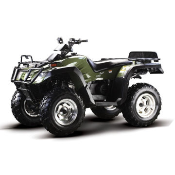 300cc Quad-1